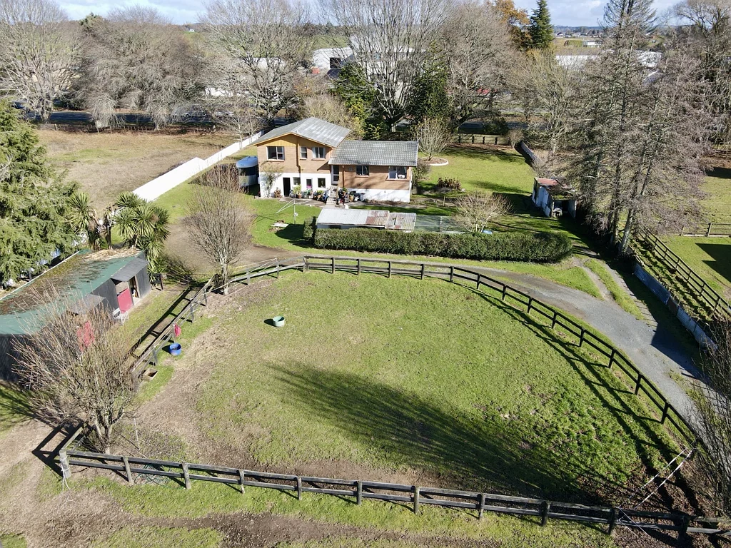 Tokoroa STOP HORSING AROUND!