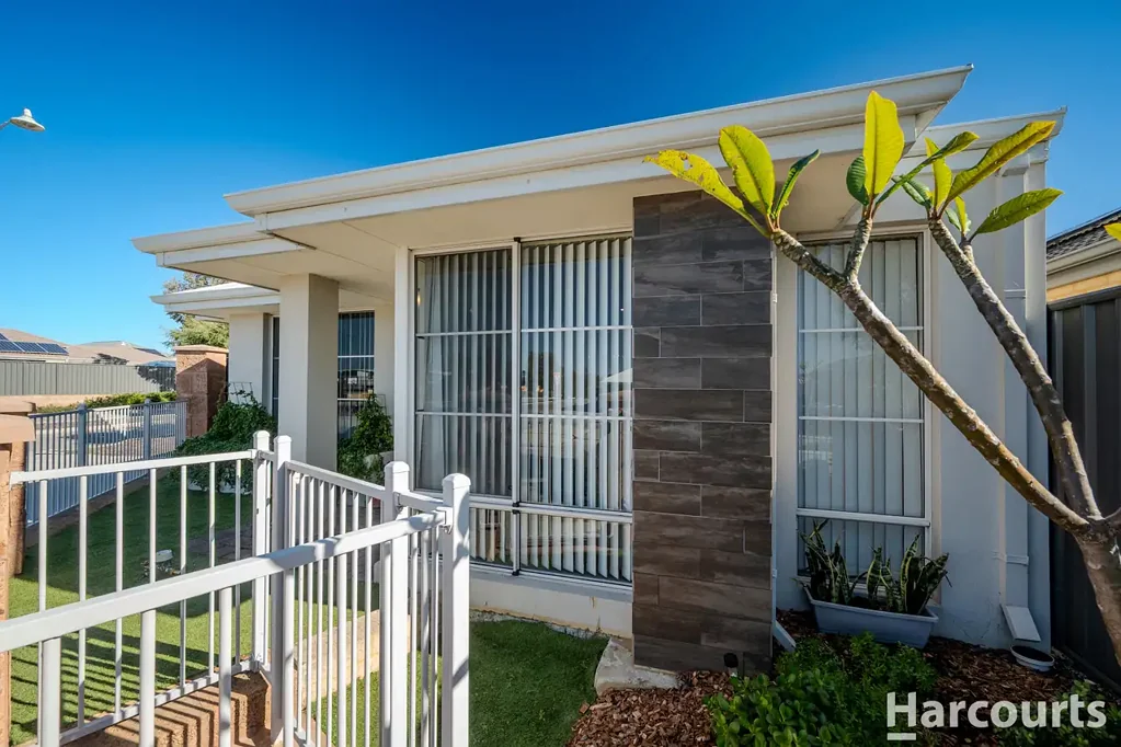 253 Grandis Boulevard, Banksia Grove, WA 6031