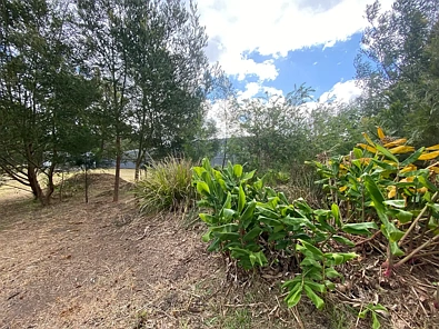 24 Terra Nova Drive, Mallacoota, VIC 3892, 0 Bedrooms, 0 Bathrooms, Section