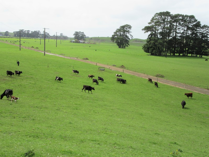 76412 State Highway 2, Rangitikei Surrounds, Hawkes Bay, 0 Bedrooms, 0 Bathrooms