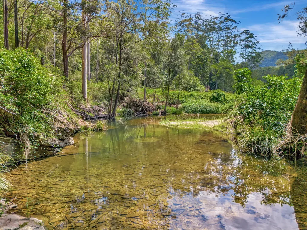 739 Upper Buckrabendinni Road, Buckra Bendinni, NSW 2449