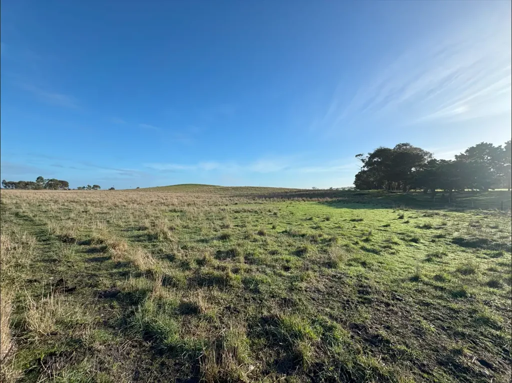 Lot 403 Riddoch Highway, Wild Dog Valley, SA 5271