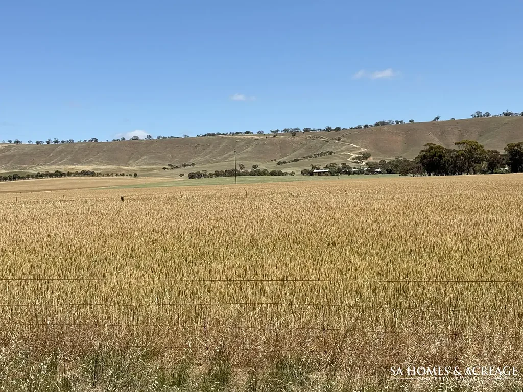 Robertstown Wide Open Spaces and Picturesque Views!