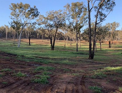 . Holbrook Wagga Road, Cookardinia, Riverina, 0 غرف, 0 حمامات, Lifestyle Property