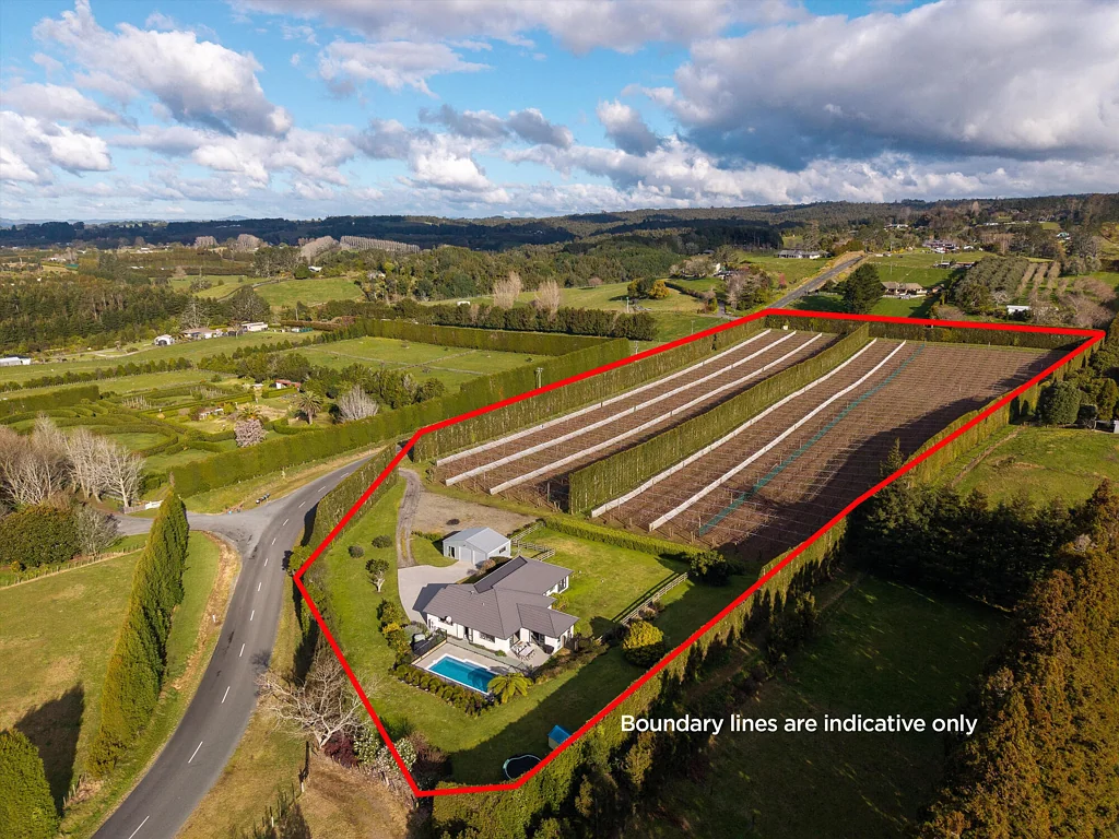 Whakamarama  Productive SunGold and quality living