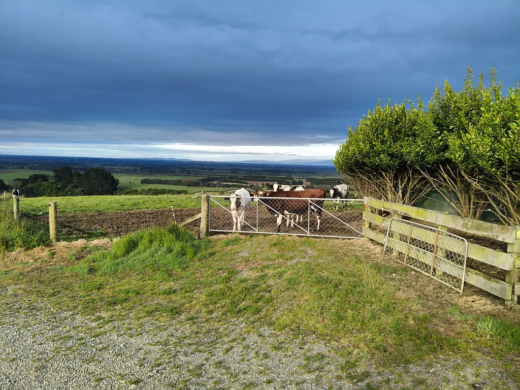 137 Kahikatea Drive, Winton, Southland