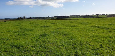 5 Rona Road, Brixton, New Plymouth District, 0 Bedrooms, 0 Bathrooms, Dairy