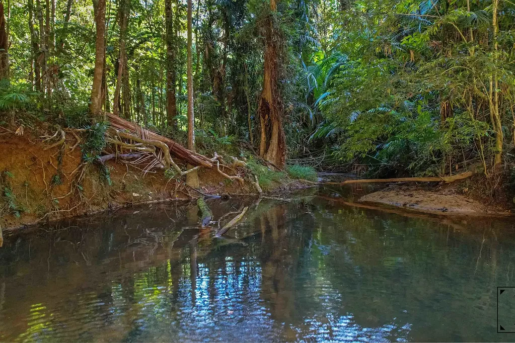 Kuranda RARE RAINFOREST RETREAT – 5700m² VACANT LAND IN KURANDA
URGENT SALE – ALL REASONABLE OFFERS CONSIDERED