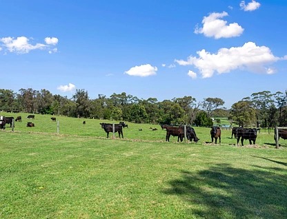 75 Rosherville Road, Swan Reach, Bairnsdale (North Gippsland), 3房, 1浴, Lifestyle Property