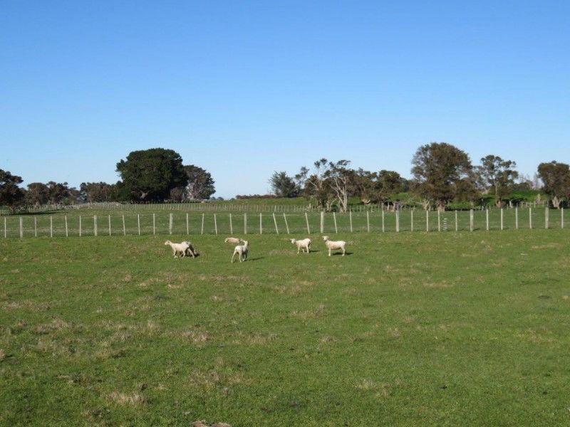 769 State Highway 2, Opaki, Masterton, 5 Bedrooms, 0 Bathrooms