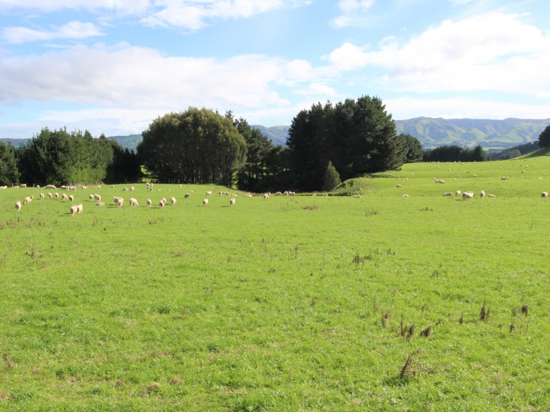 498 Ridge Road, Pahiatua, Tararua, 0 غرف, 0 حمامات