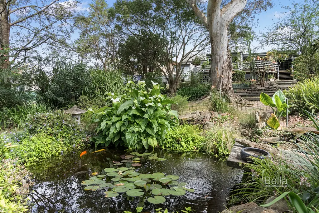 60 Gordon Street, Milton, NSW 2538