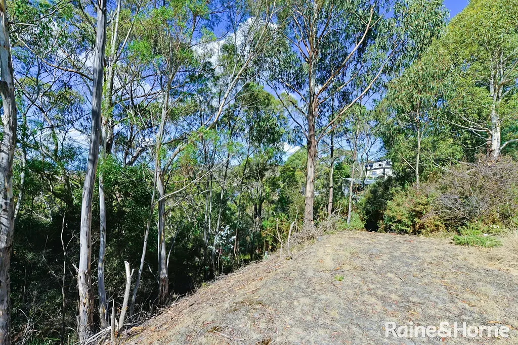 Tolmans Hill 优越地段 海滨美景 970㎡坡地物业 邻市政绿地 车道切割 优雅宁静 970m2 Block!