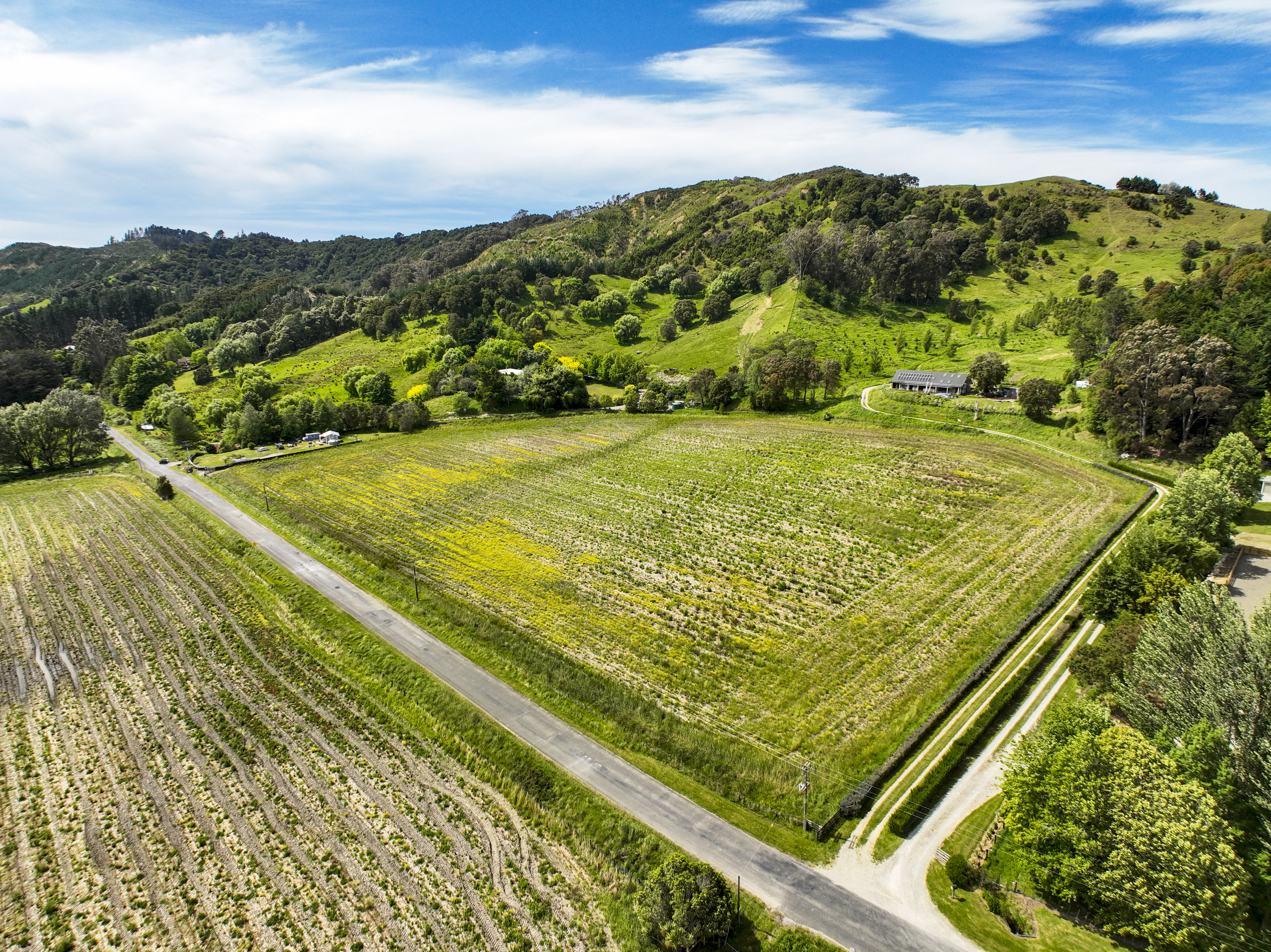 Ormond Valley Road, Ormond, Gisborne, 0 कमरे, 1 बाथरूम, Bare Land