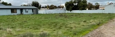 29 Wolfe Street, Jamestown, SA 5491, 0 rūma, 0 rūma horoi, Section