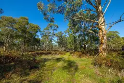 Lake Gorrie Road, Macarthur