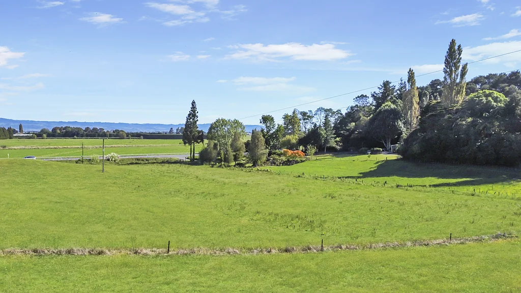 Whakatane Diverse and desirable with scale