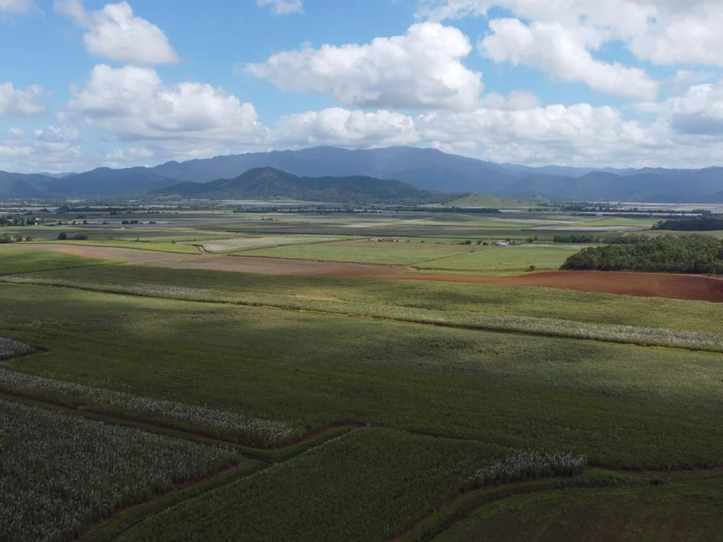 Innisfail  CATTLE PROPERTY