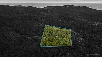 254 Piha Road, Piha, Waitakere City, Auckland, 0 Bedrooms, 0 Bathrooms, Section