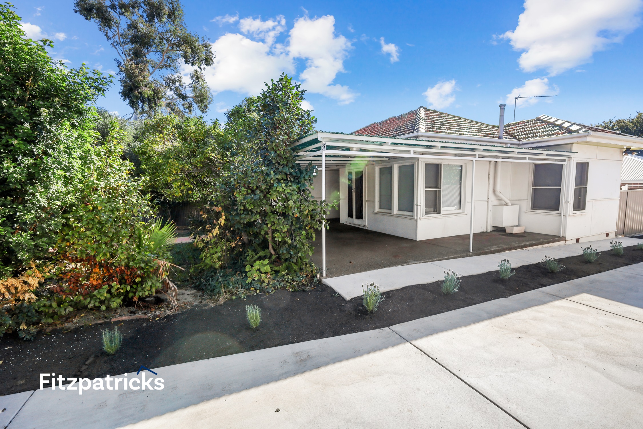 37 FERNLEIGH RD, TURVEY PARK NSW 2650, 0房, 0浴, Unit