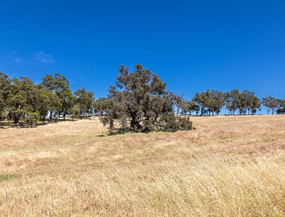 LOT 633 Malvi Close, Lower Chittering, Swan, 0 phòng ngủ, 0 phòng tắm, Section