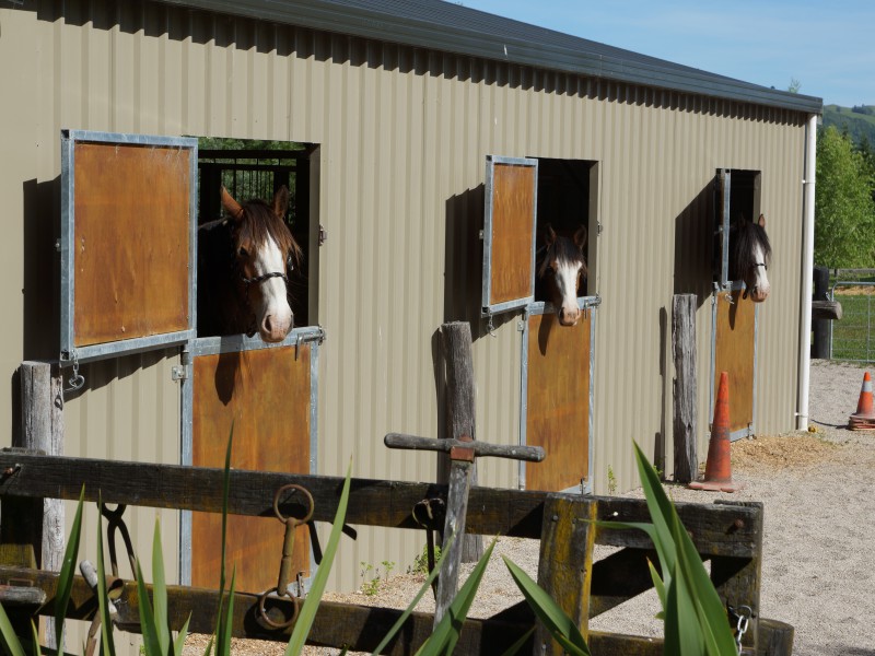 7/864 Whangamata Road, Kinloch, Taupo, 3 રૂમ, 0 બાથરૂમ