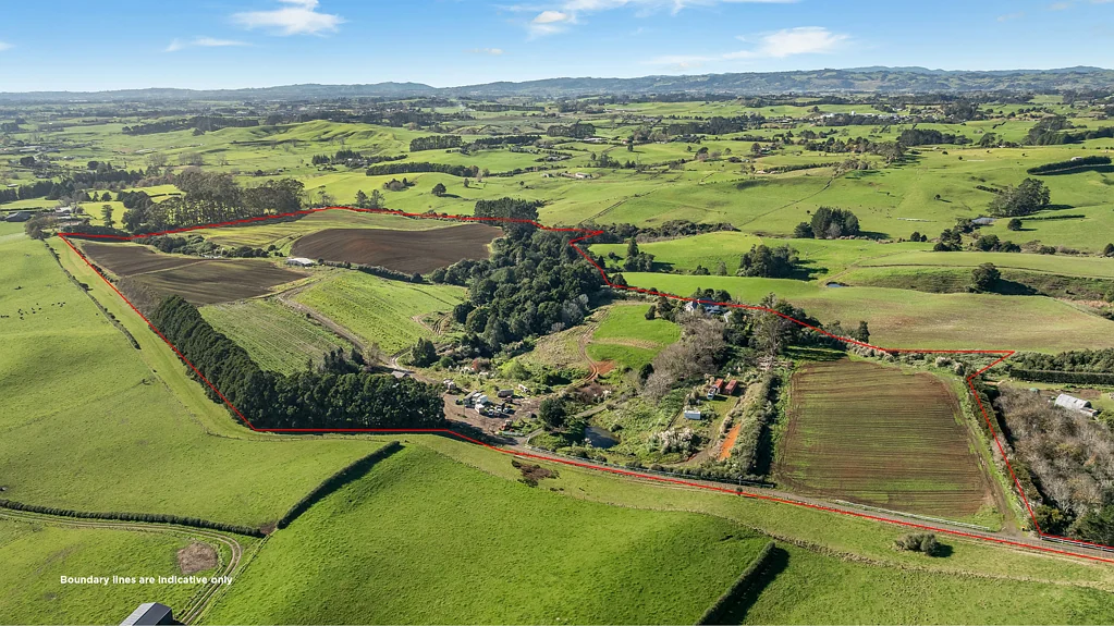 Pukekohe  Cropping opportunity – Patumahoe soils