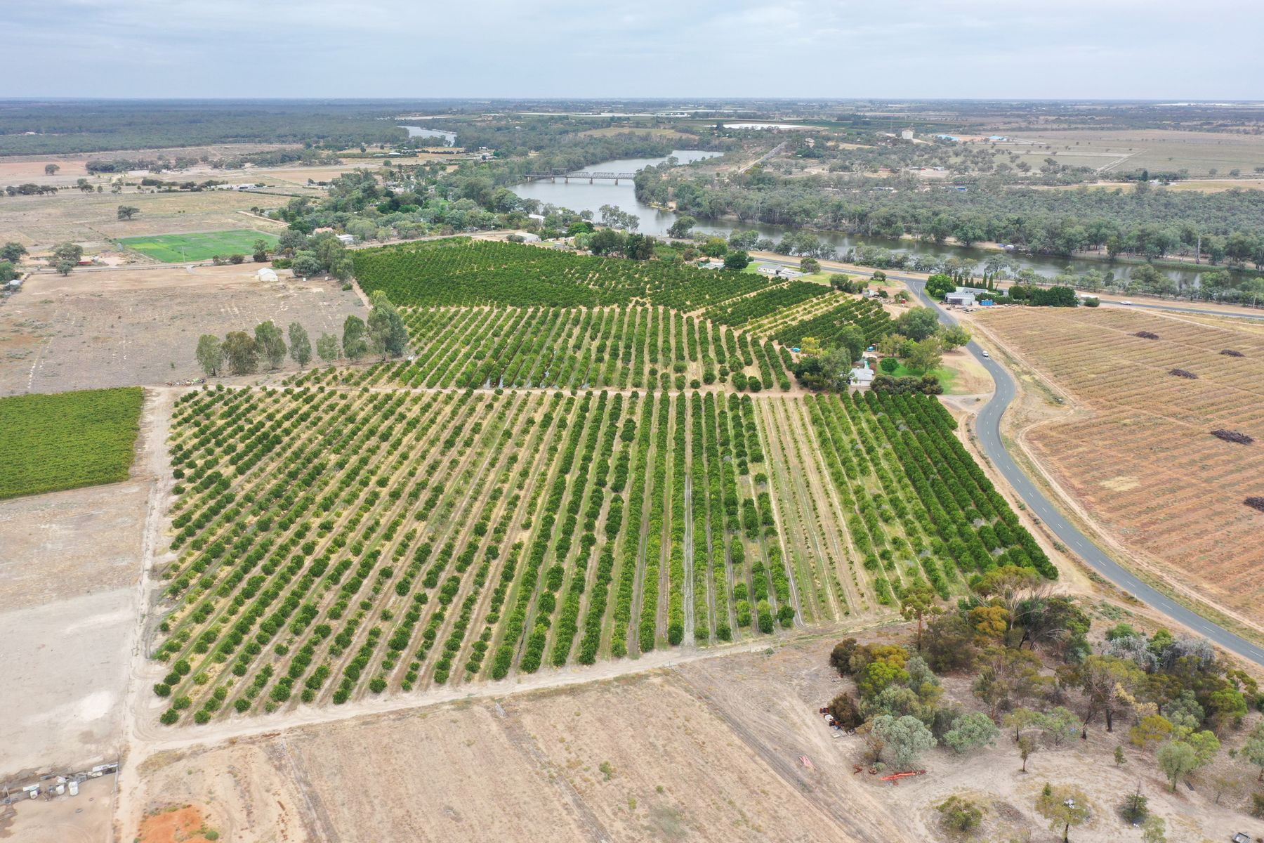 FARM 4 615 DELTA RD, CURLWAA NSW 2648, 0 Schlafzimmer, 0 Badezimmer, Lifestyle Property