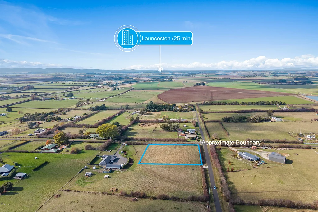 Westbury  King Of Five Acre Row