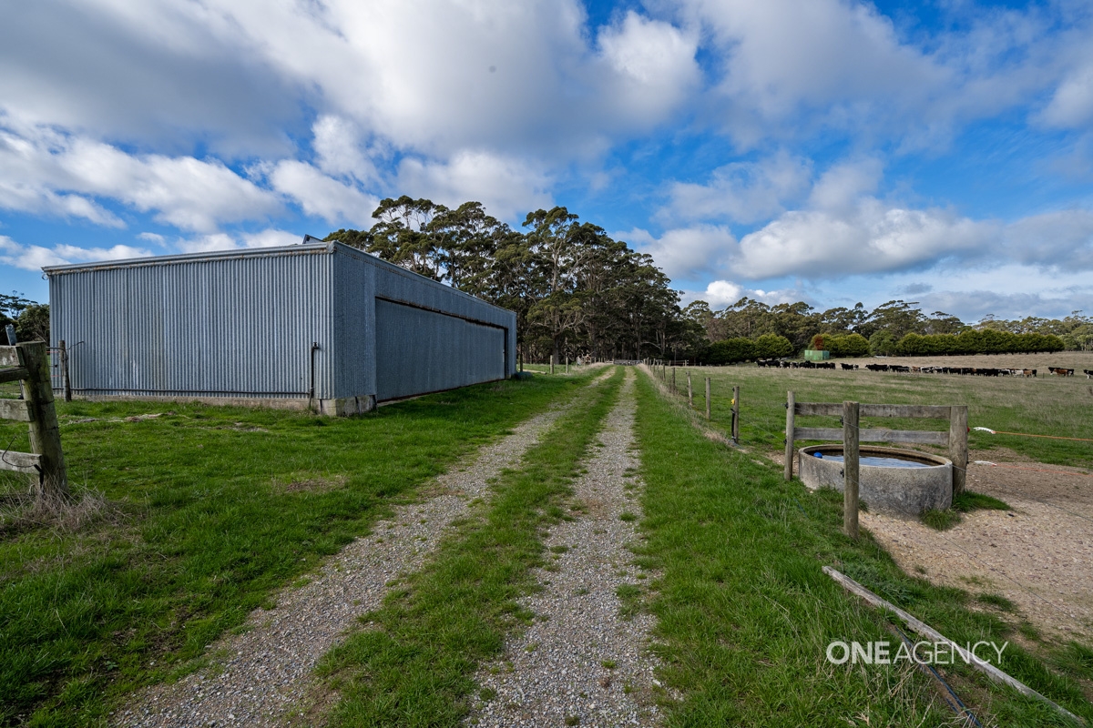 109 WILLIAMS RD, SCOPUS TAS 7330, 0房, 0浴, Lifestyle Property