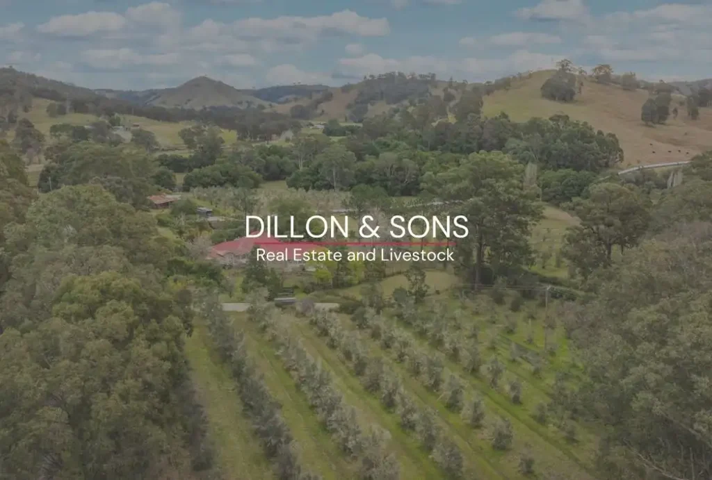 Lot 123 Chichester Dam Road, Dungog, NSW 2420