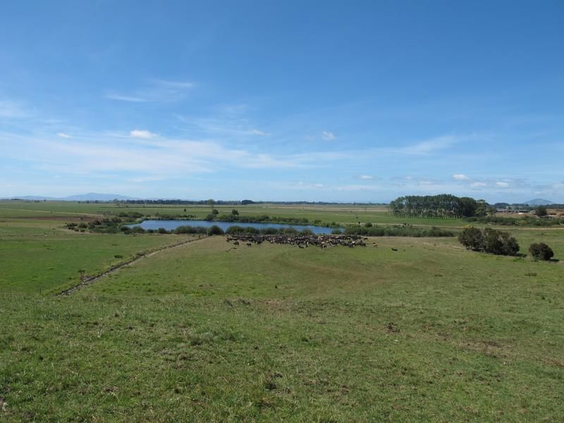 2/795 Tuhikaramea Road, Ngahinapouri, Waipa, 0 ห้องนอน, 0 ห้องน้ำ