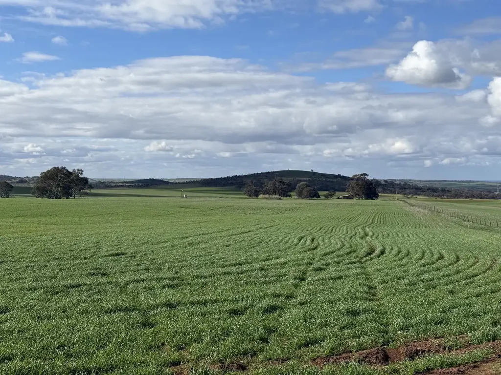 Frankton  Quality Cropping Land | Expand or Establish