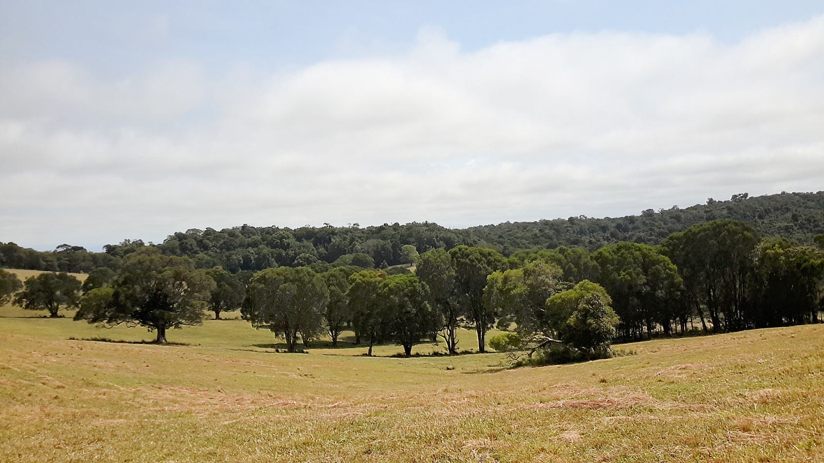 1054 EAST EVELYN RD, EVELYN QLD 4888, 0 ਕਮਰੇ, 0 ਬਾਥਰੂਮ, Lifestyle Property