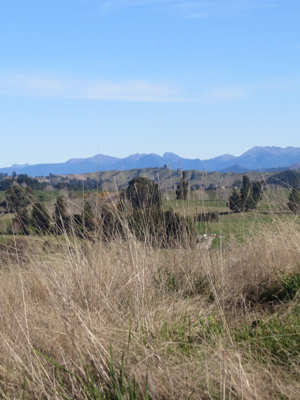 1596 Moutere Highway, Upper Moutere, Tasman, 0房, 0浴