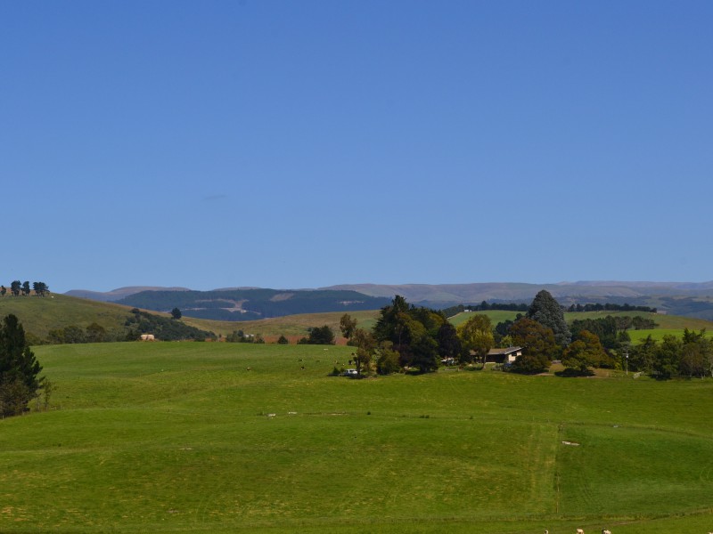 112 Bowalley Road, Herbert, Waitaki, 0房, 0浴, Grazing