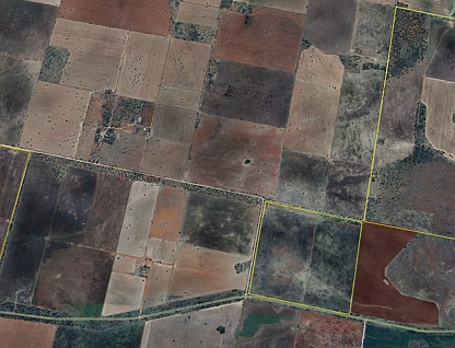 'Boree Glen' 456 Whymarks Lane, Tullibigeal, Riverina, 0 침실, 0 욕실, Lifestyle Property