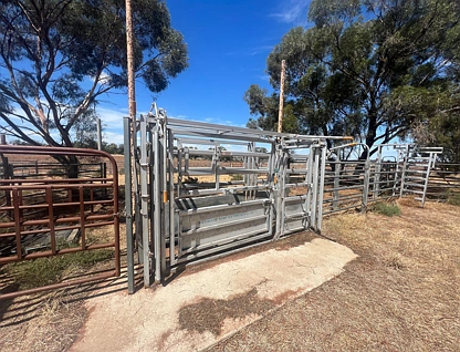 13166 Newell Highway, West Wyalong, Riverina, 0 Bedrooms, 0 Bathrooms, Lifestyle Property