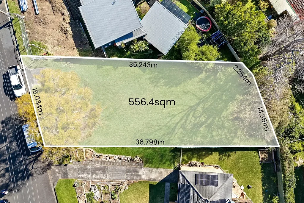 Figtree Position, potential and lifestyle