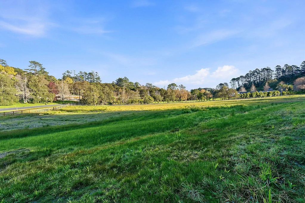 65 Haigh Access Road, Dairy Flat, Rodney, Auckland
