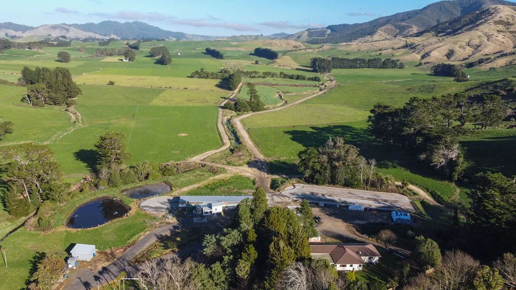 Eketahuna Prime Dairy Farm Opportunity