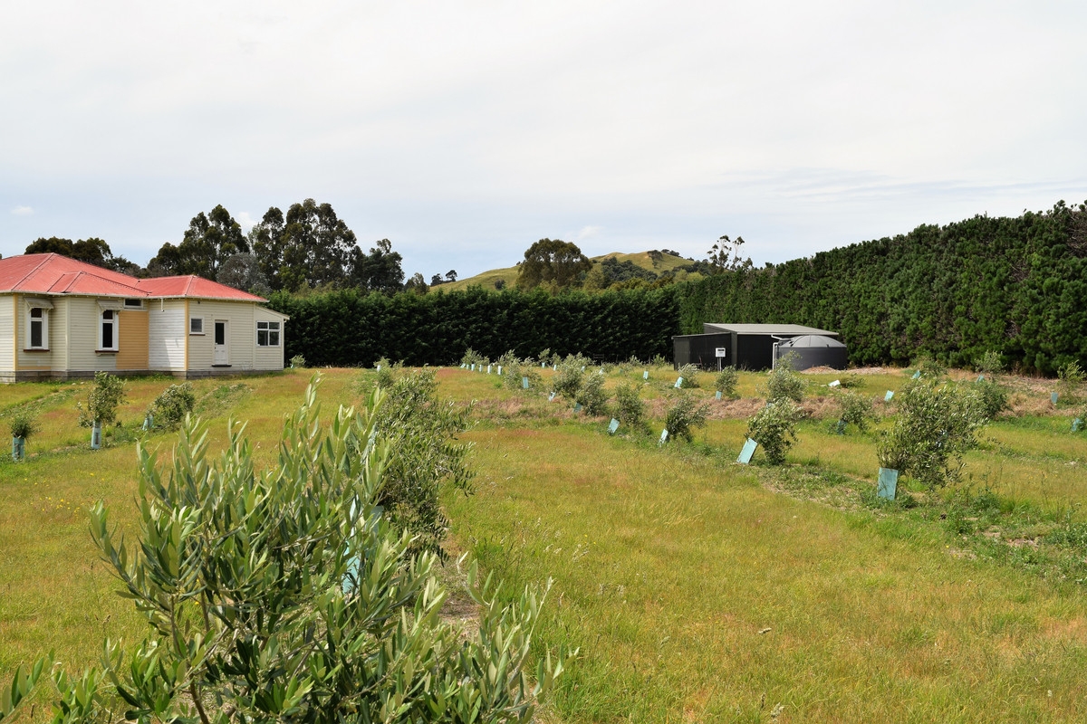 836b State Highway 2, Opaki, Masterton, 3 침실, 0 욕실