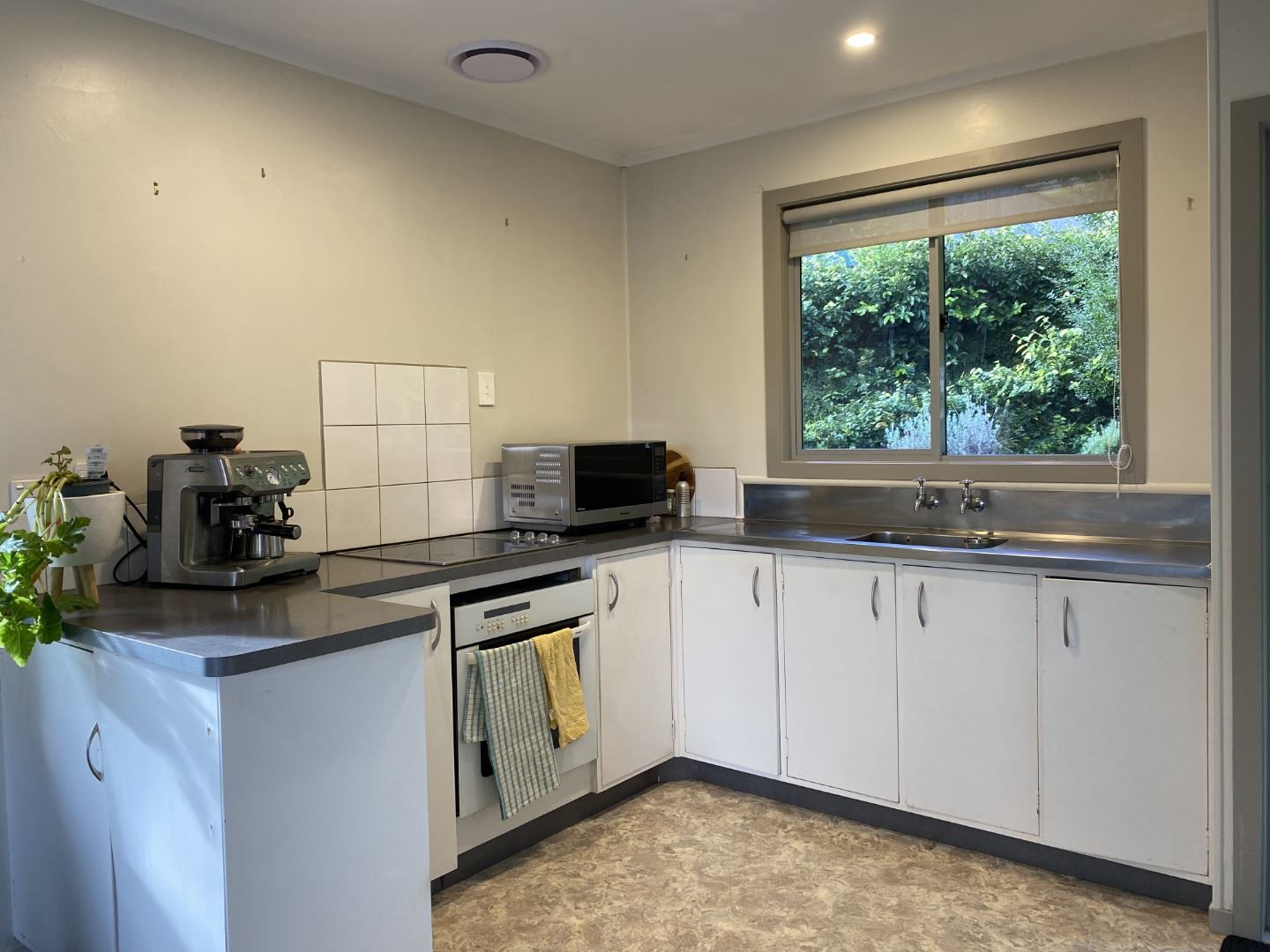 23 Seymour Place, Bellevue, Tauranga, 3房, 1浴