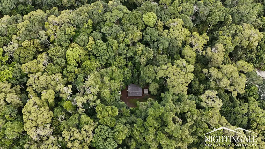 Malanda 1Zimmer Private I Location I Rainforest