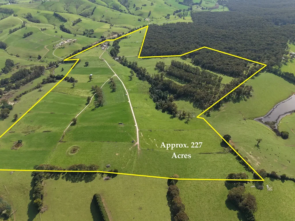 Boolarra South Established Dairy Farm with Bushland Backdrop