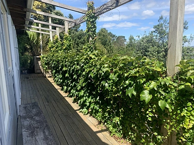 Paradise in "Paredise"