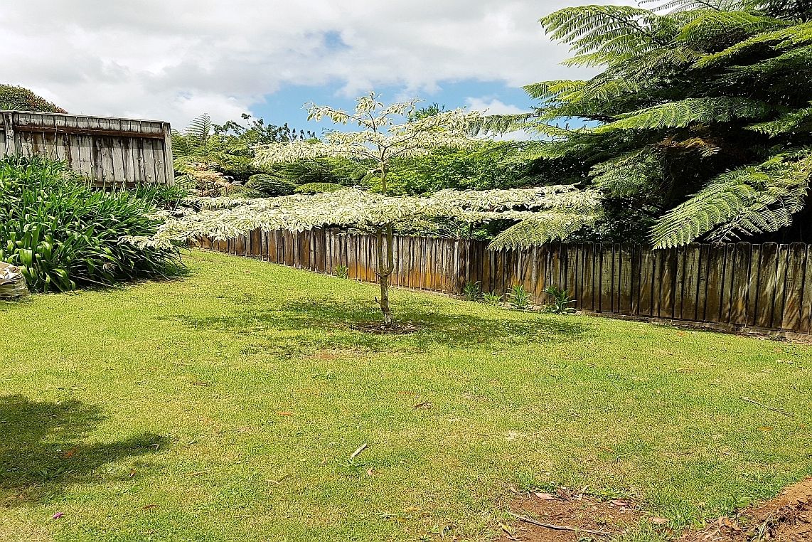 149f Heta Road, Highlands Park, New Plymouth, 3 غرف, 2 حمامات