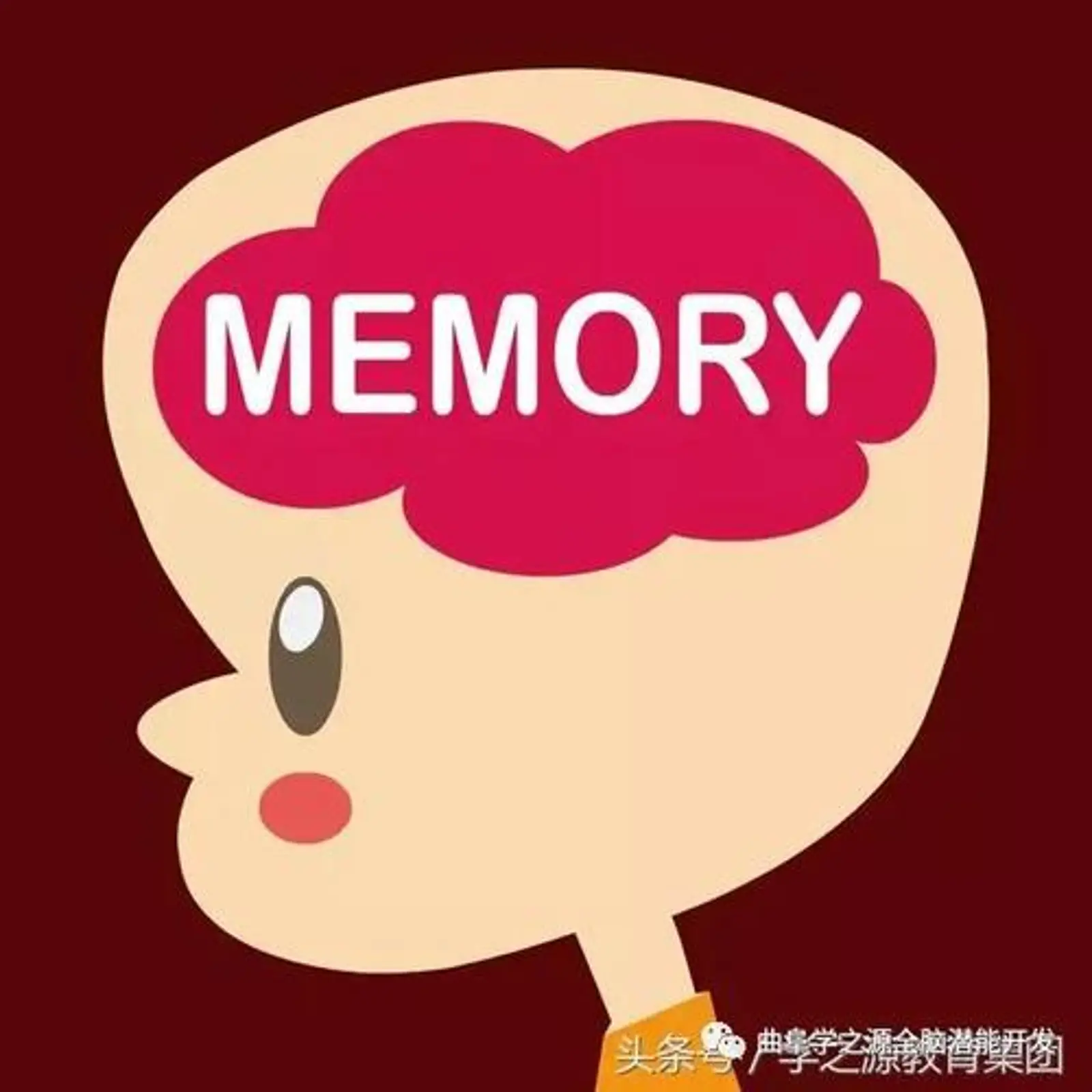 记忆力越来越差，怎么办？