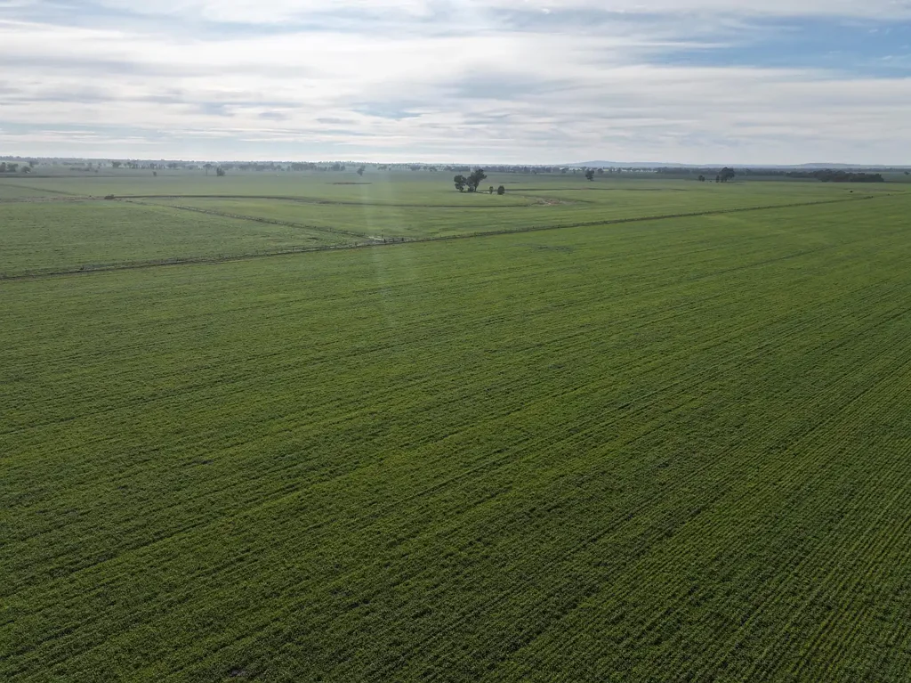 Berry Jerry IDEAL COOLAMON PROPERTY