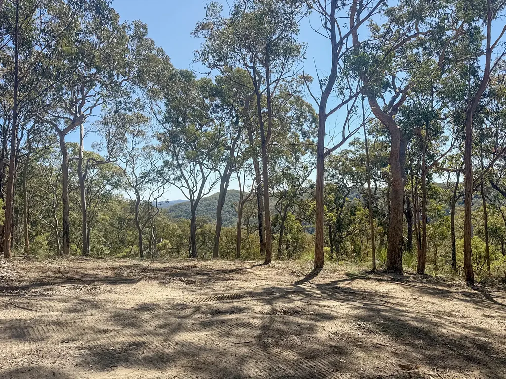 Laguna 160 Acres of Ridgetop Paradise